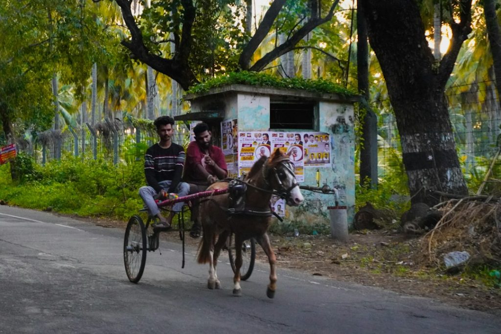Dupahiya Season 2 लेख के लिए ग्रामीण भारत की प्रतीकात्मक तस्वीर