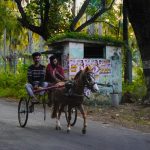Dupahiya Season 2 लेख के लिए ग्रामीण भारत की प्रतीकात्मक तस्वीर